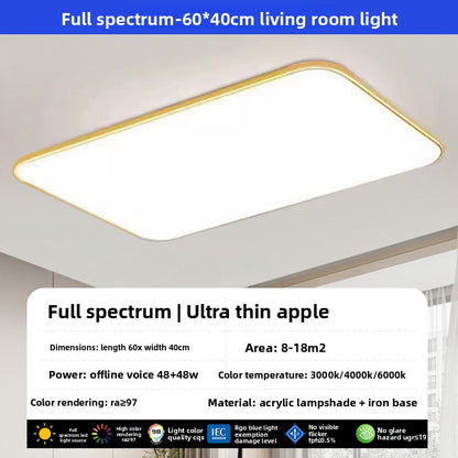 led ceiling lamp