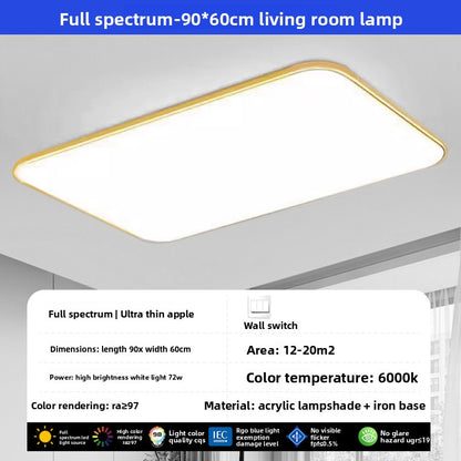 led ceiling lamp