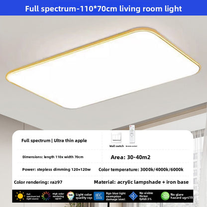 led ceiling lamp