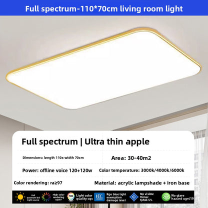 led ceiling lamp