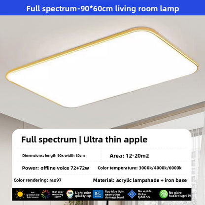 led ceiling lamp