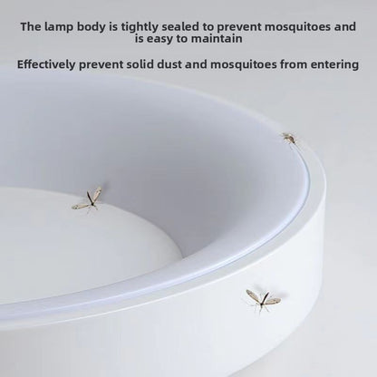 LED Ceiling Lamp