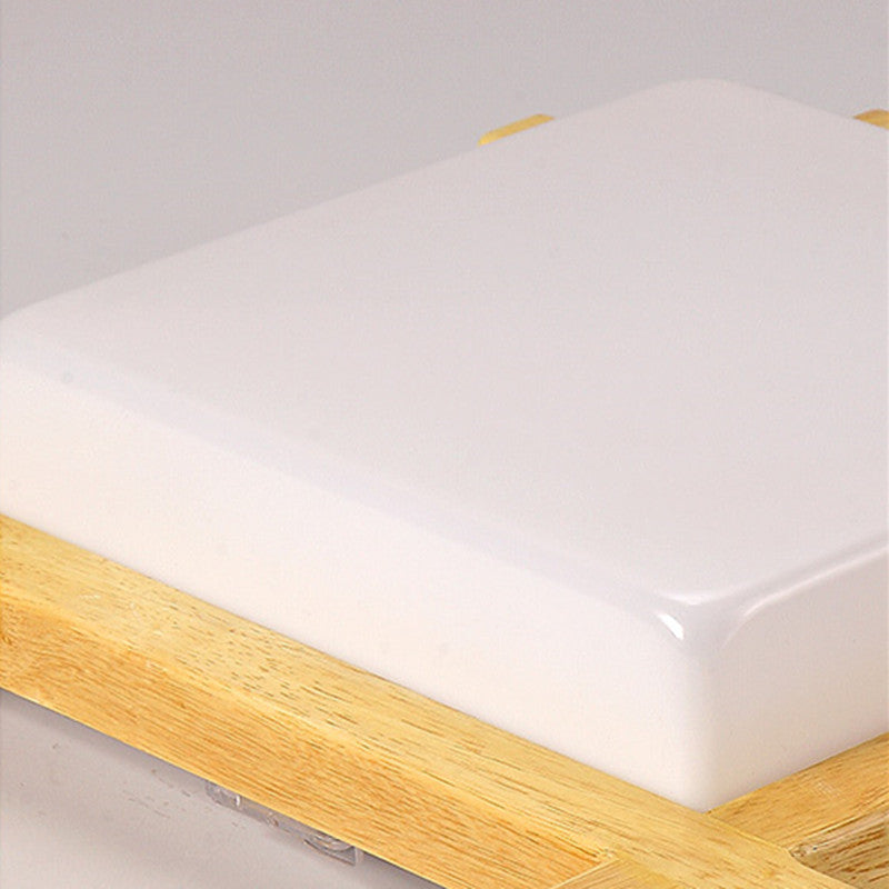 LED Ceiling Light