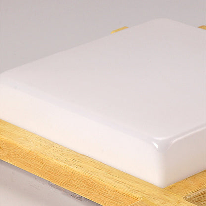 LED Ceiling Light