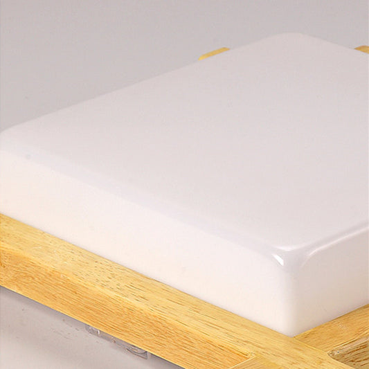 LED Ceiling Light
