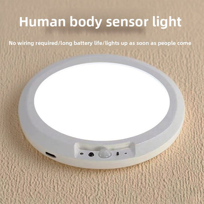 LED ceiling light