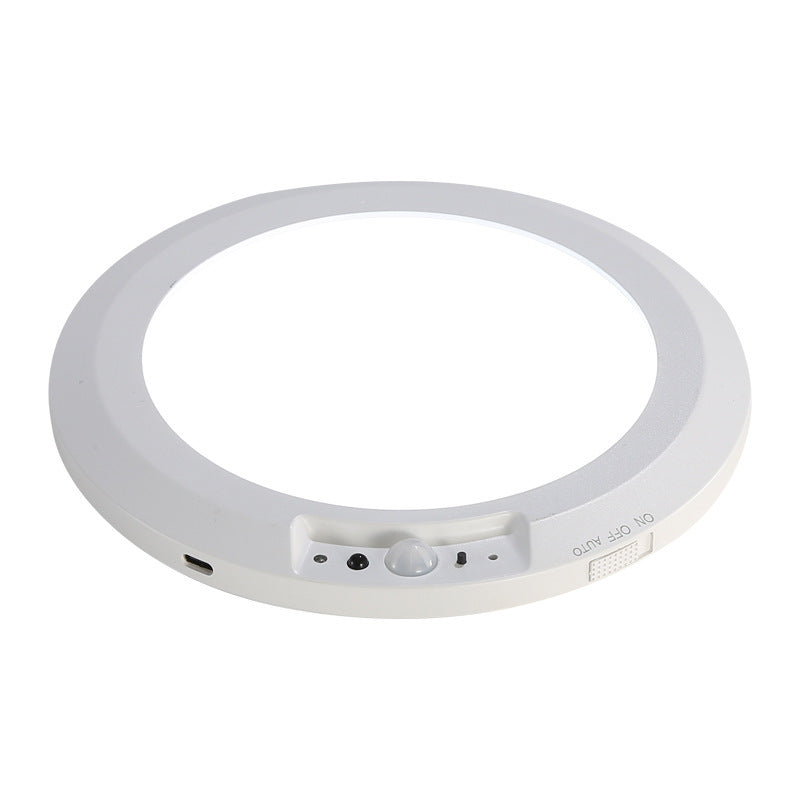 LED ceiling light