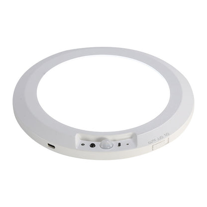LED ceiling light