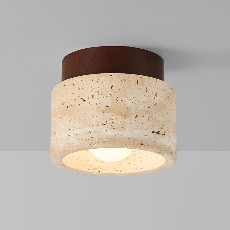 LED Ceiling Light