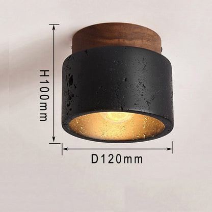 LED Ceiling Light