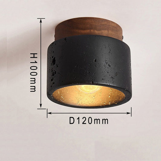 LED Ceiling Light