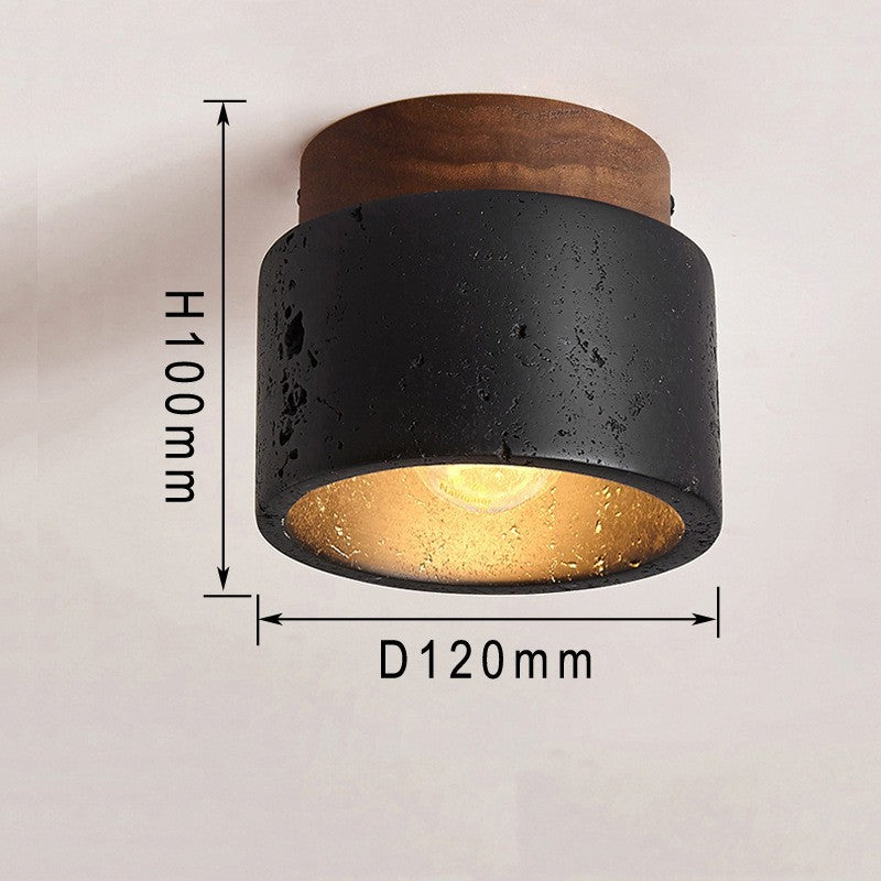 LED Ceiling Light