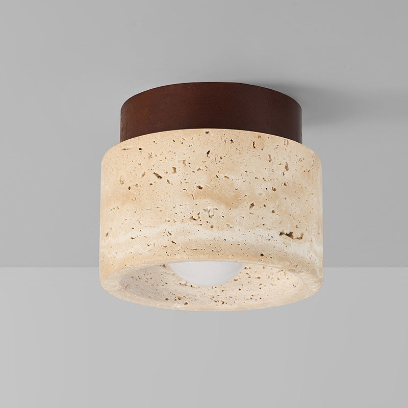LED Ceiling Light