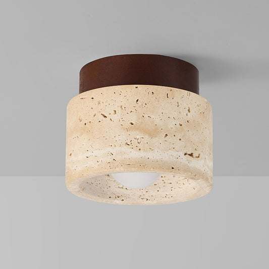 LED Ceiling Light