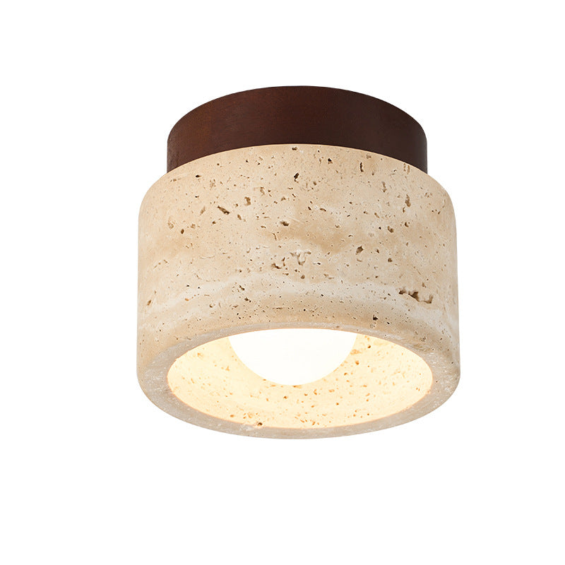 LED Ceiling Light