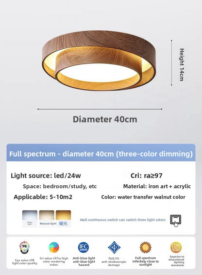 LED ceiling light