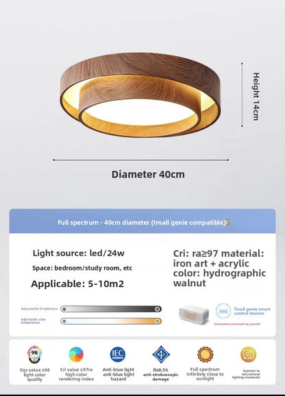 LED ceiling light