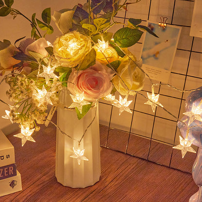 LED Christmas Lights