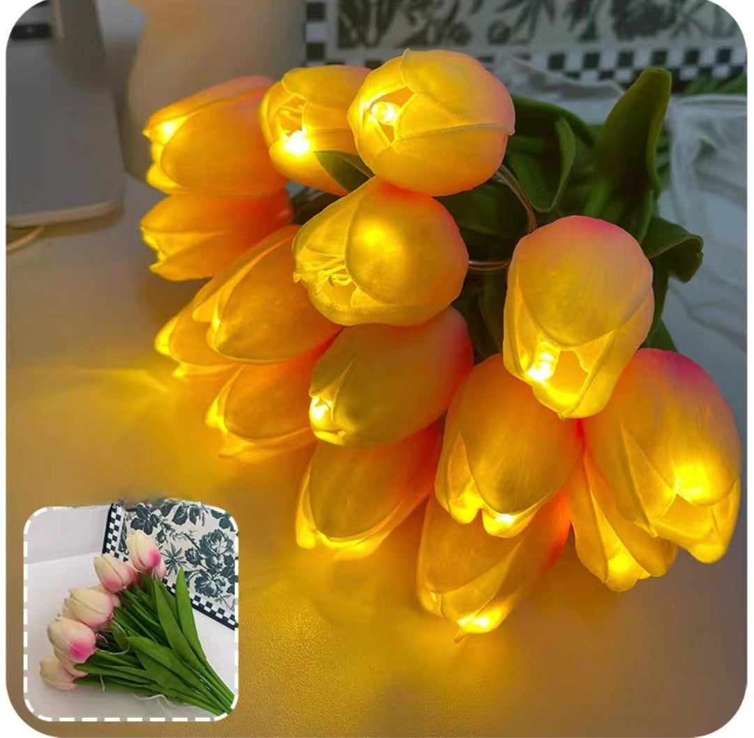 LED decorative lights
