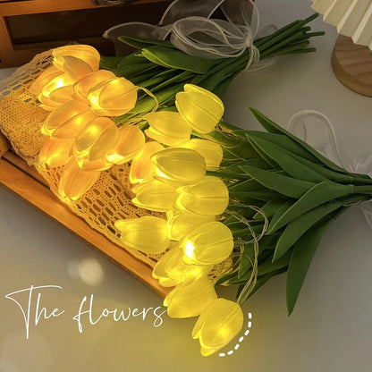 LED decorative lights
