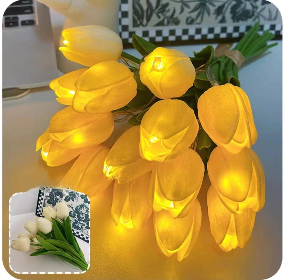 LED decorative lights