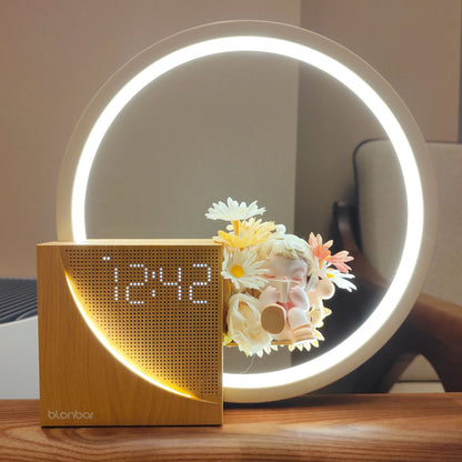 LED Desk Lamp