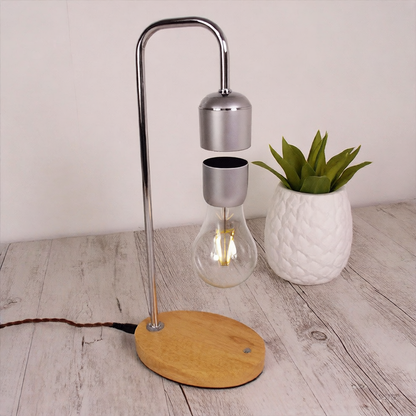LED Desk Lamp