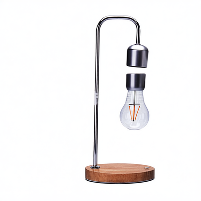 LED Desk Lamp