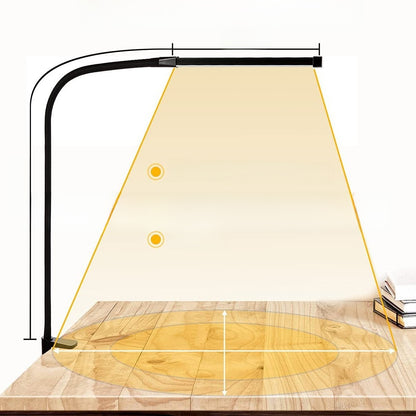 LED Desk Lamp