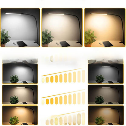 LED Desk Lamp