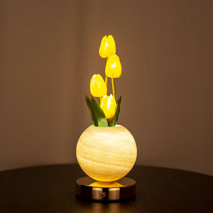 LED Desk Lamp