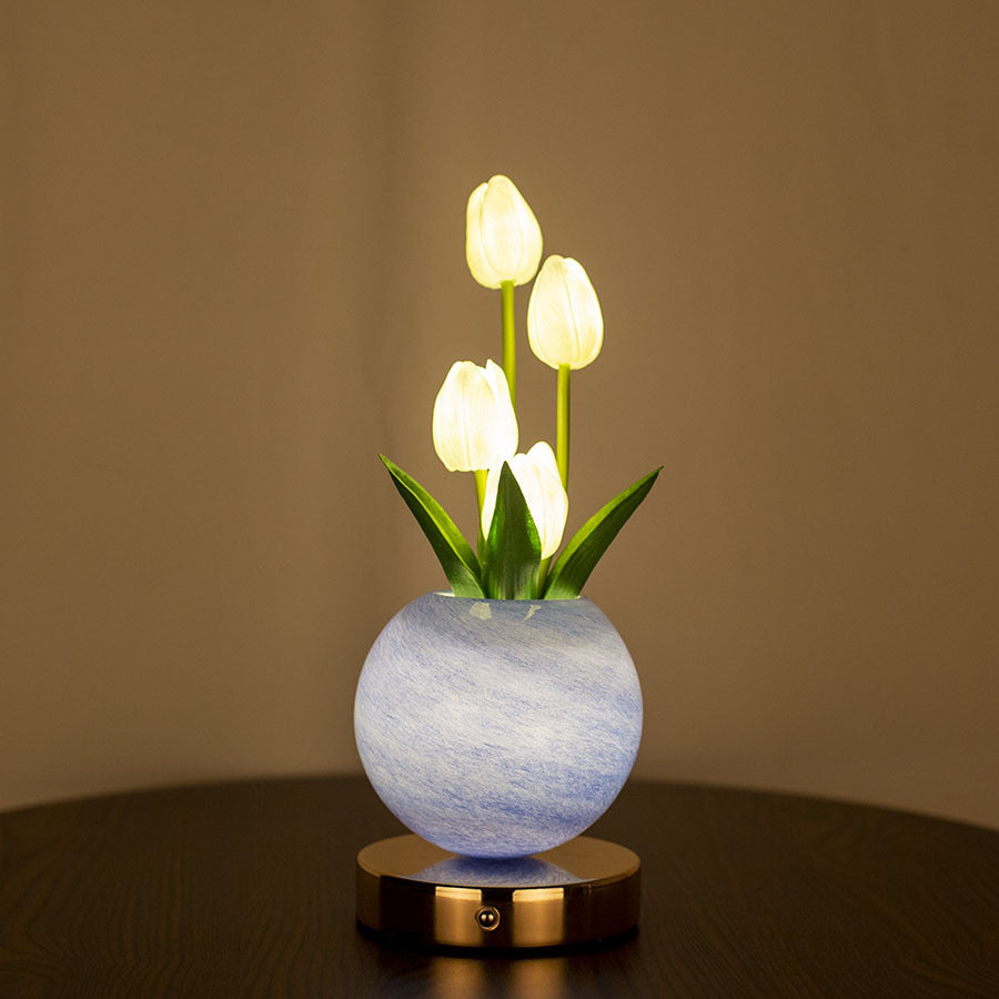 LED Desk Lamp