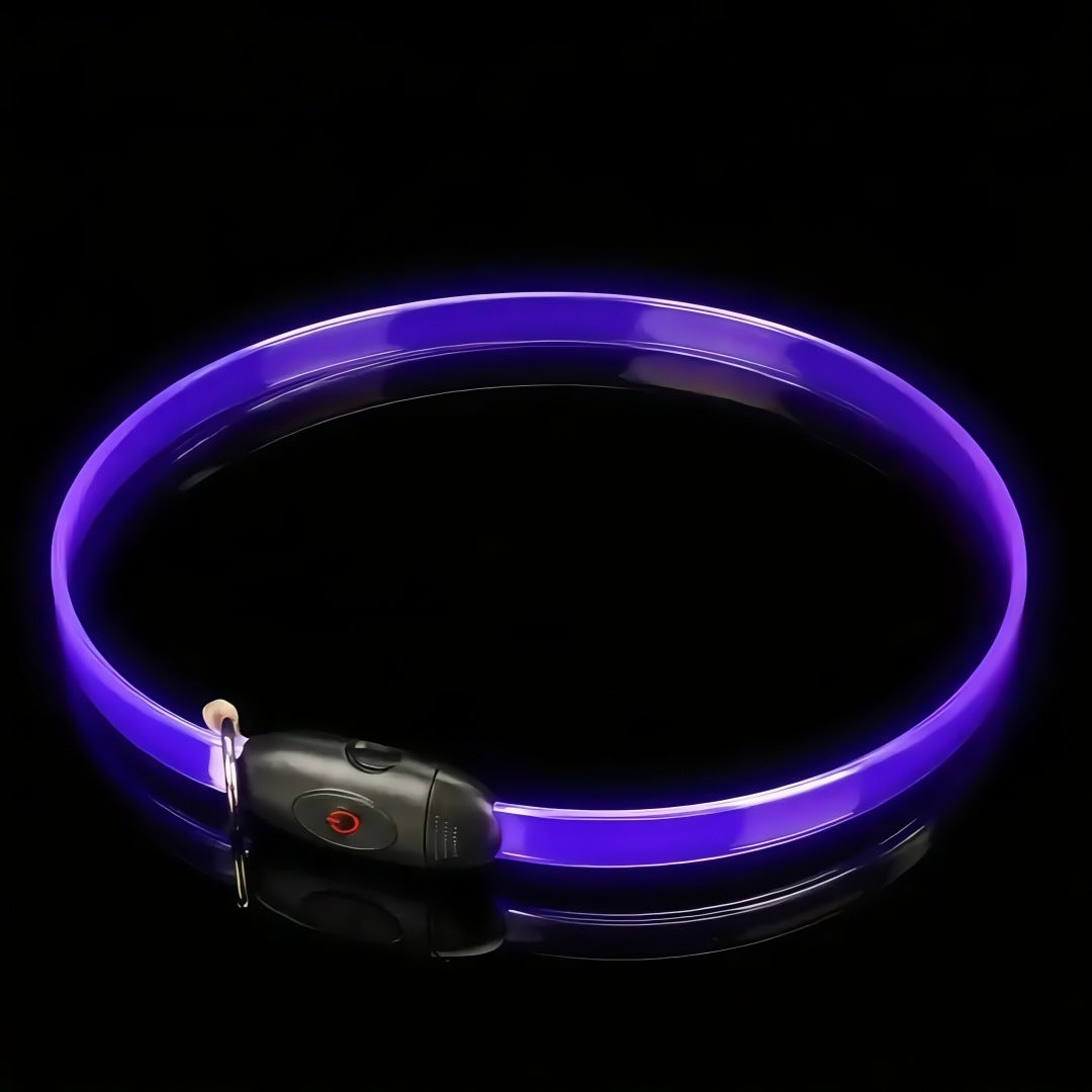 LED Dog Collar