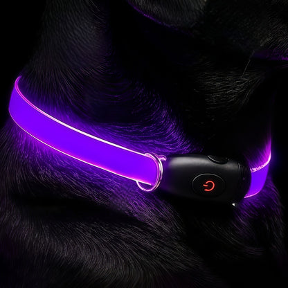 LED Dog Collar