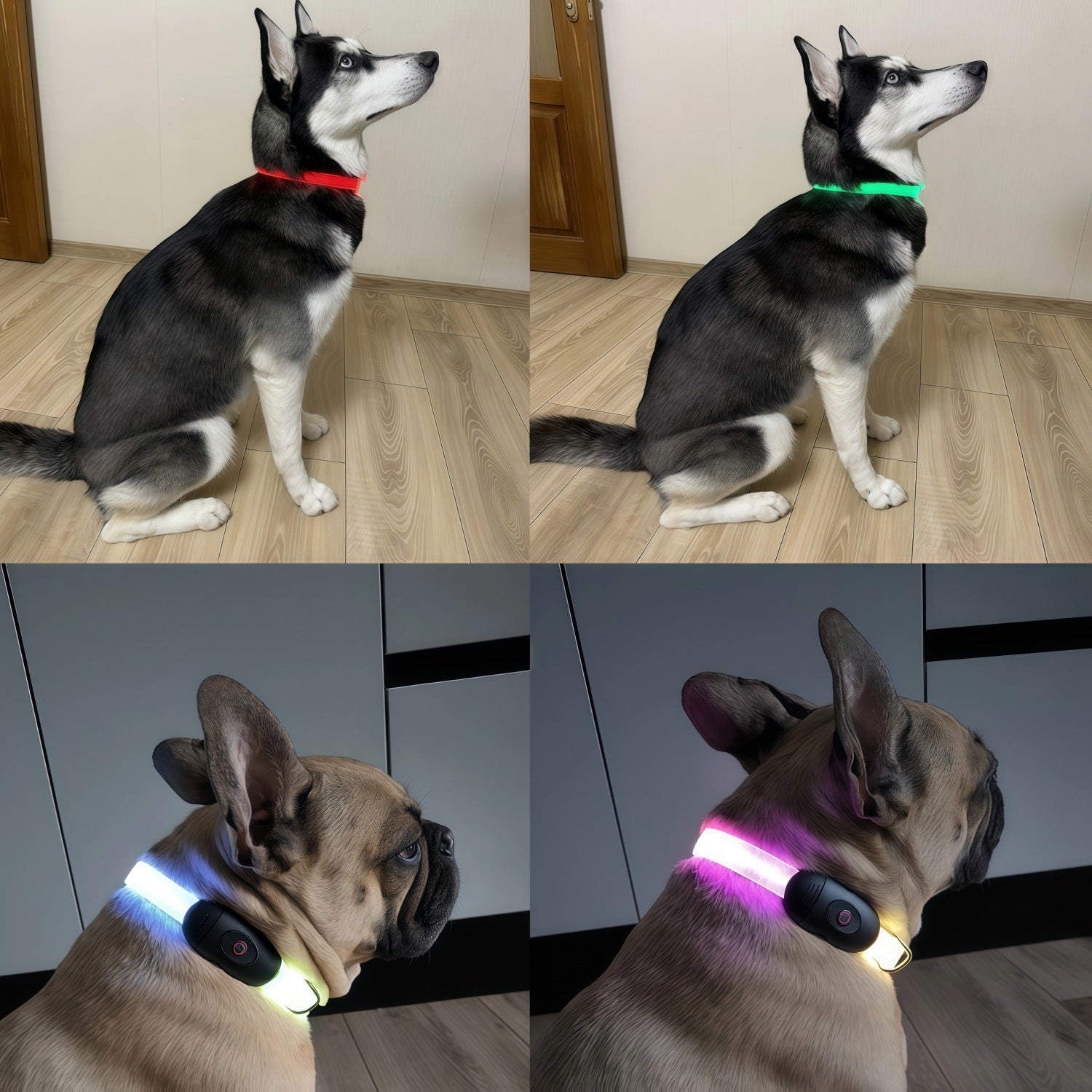 LED Dog Collar