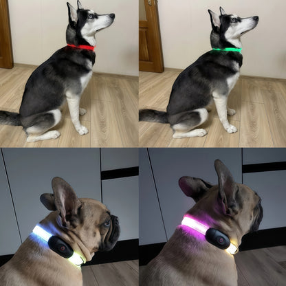LED Dog Collar