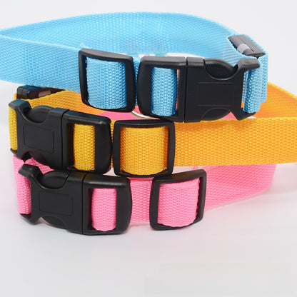 LED dog collar