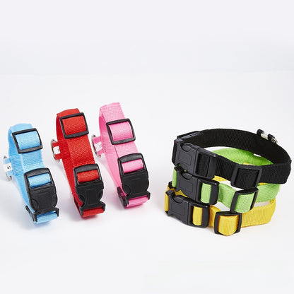 LED dog collar