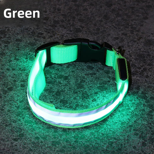 LED Dog Collar