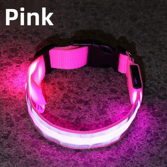 LED Dog Collar