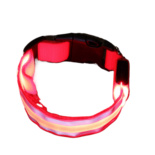 LED Dog Collar