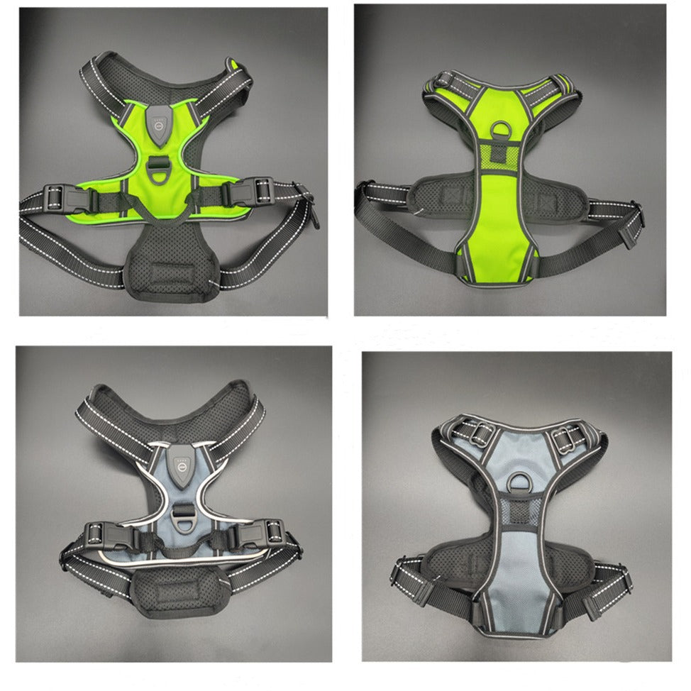 LED Dog Harness
