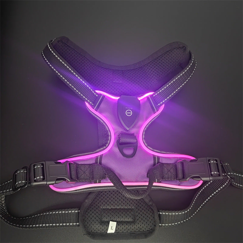 LED Dog Harness
