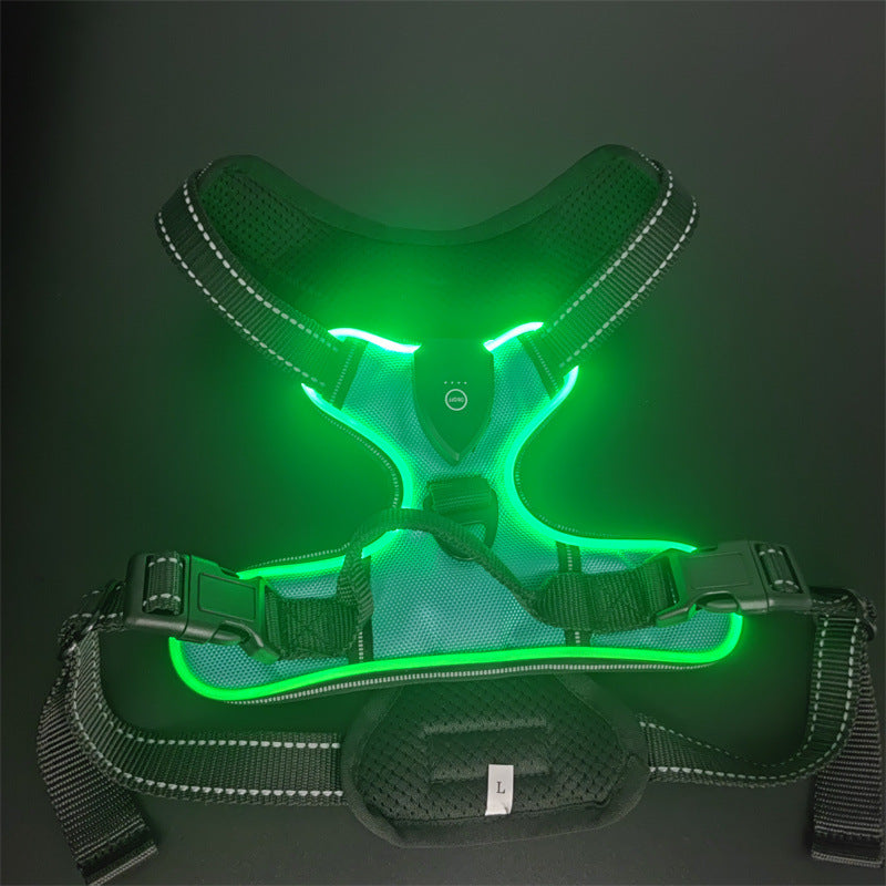 LED Dog Harness