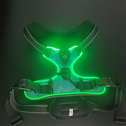 LED Dog Harness