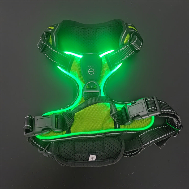 LED Dog Harness