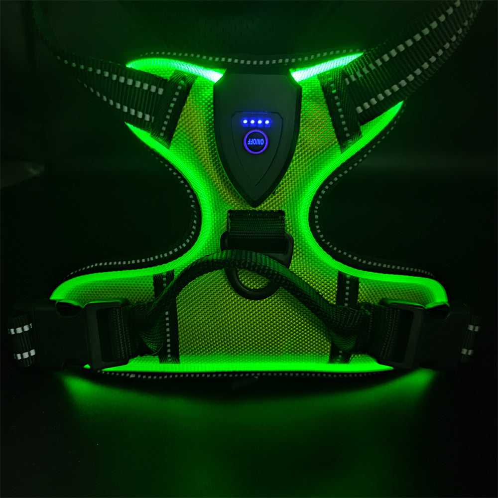LED Dog Harness