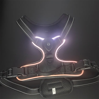LED Dog Harness