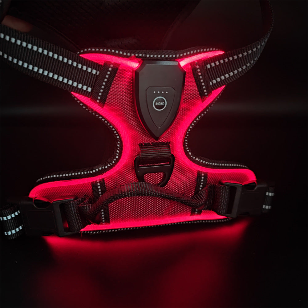 LED Dog Harness
