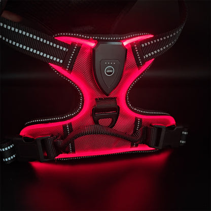 LED Dog Harness